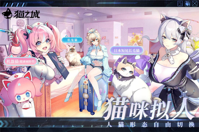猫之城1