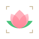 识花大师 1.3.9安卓版