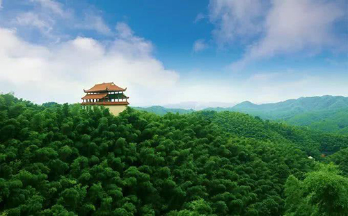 桃花江竹海旅游区