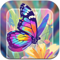 悦涂壁纸软件 v1.1.7