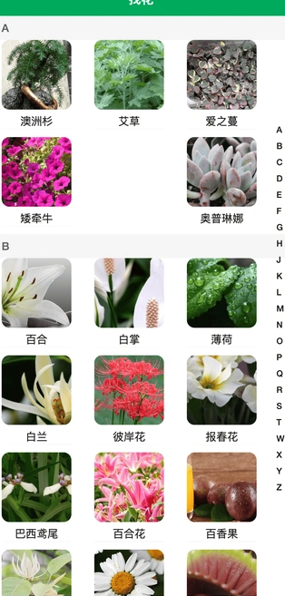 小绿植物手机版 v1.0