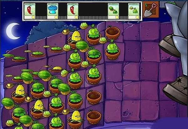 植物大战僵尸95版14