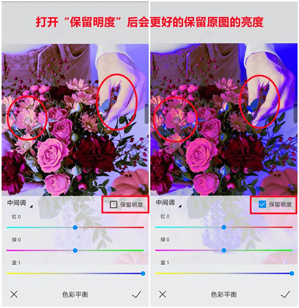 熊猫绘画21
