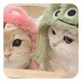 嘤嘤怪app v2.6