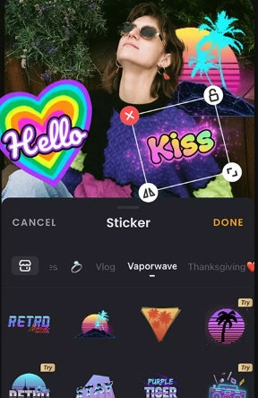 Viva Video1