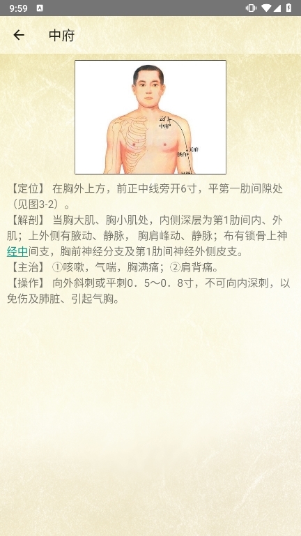 穴位按摩宝典APP截图2