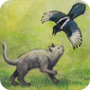米洛和喜鹊官方版 v1.0.6