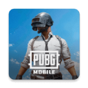 p u p g(PUBG MOBILE) v3.7.0 官方版下载
