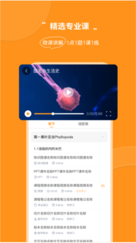 芝士医生图片