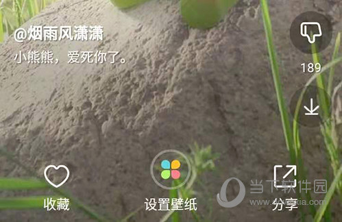壁纸多多选择视频