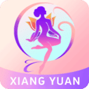 香缘视频免费版