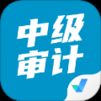 中级审计师考试聚题库