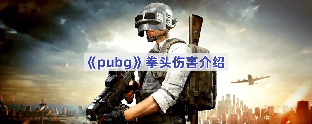 pubgȭͷһȭѪ-pubgȭͷ˺Ƕ