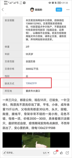 猛犬俱乐部app3