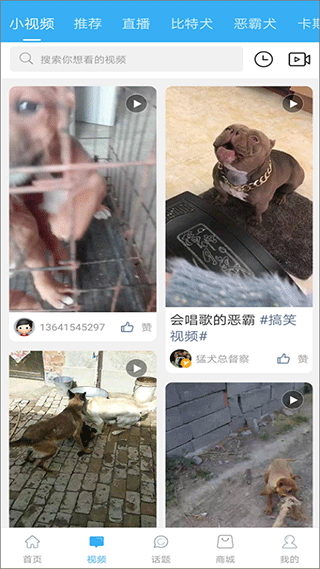 猛犬俱乐部app v6.3.8