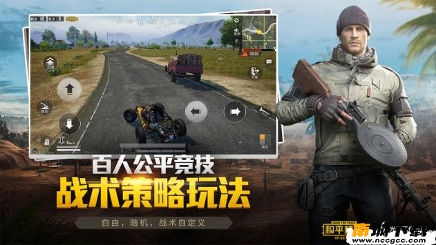 预览图2