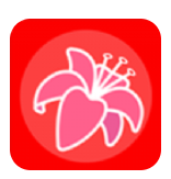 花添锦地