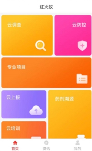 红火蚁