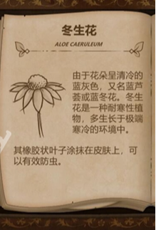 奇异园艺植物图鉴大全