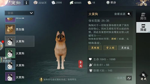 宠物攻略配图2