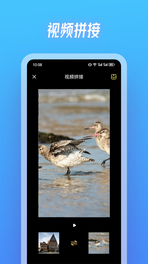 斑马视频 v1.2