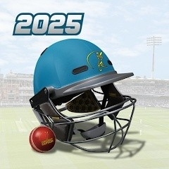板球队长2025手机版下载 v1.0