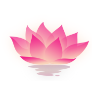 荷花工具箱app最新版v1.0.1 安卓免费版