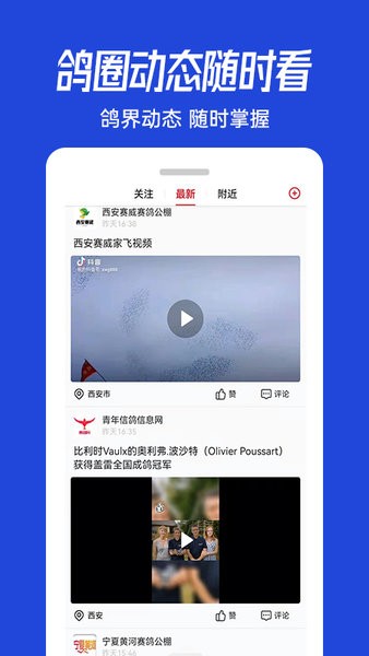 青鸽网app 4.0.1