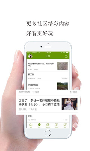游鸽网1