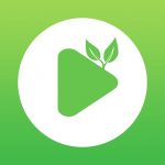 樱花草视频免费版