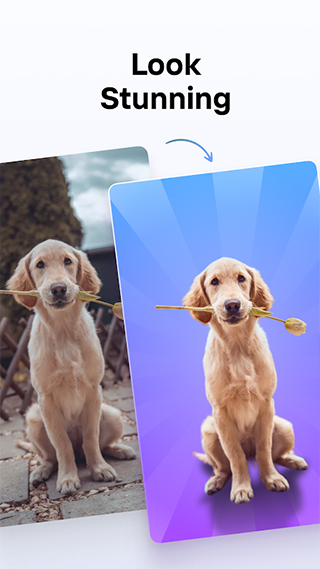 photoroom v2025.10.