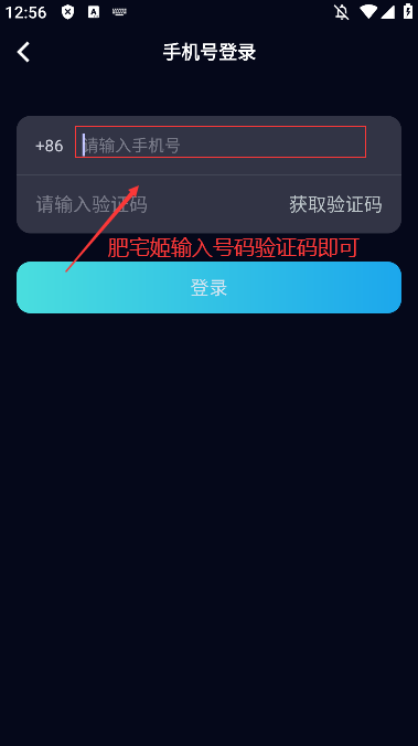ôɻ罻appֻ氲װv1.3.1 °汾