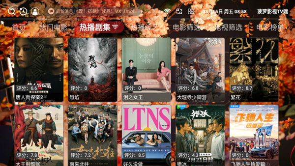 菠萝影视TV端图片3