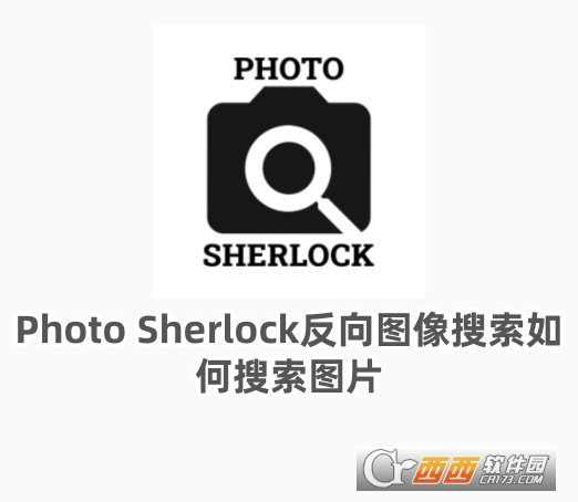 Photo Sherlock反向圖像搜索下載安卓版