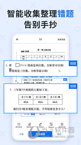 蜜蜂试卷