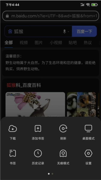 Lemur Browser2