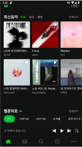 melon3
