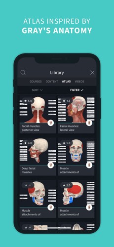 completeanatomy中文版 v9.5.0