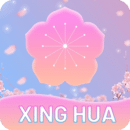 杏花直播下载 v1.3.8