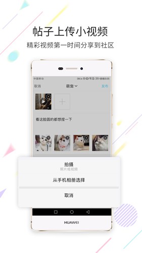 ƶ˰v3.1.40