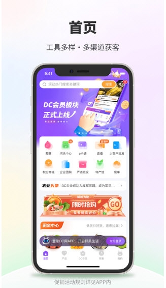 DC网1
