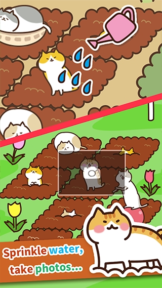 猫咪田园正版下载 v2.5.1