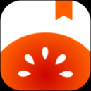 番茄小说APP最新版2024 