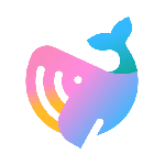 ()app