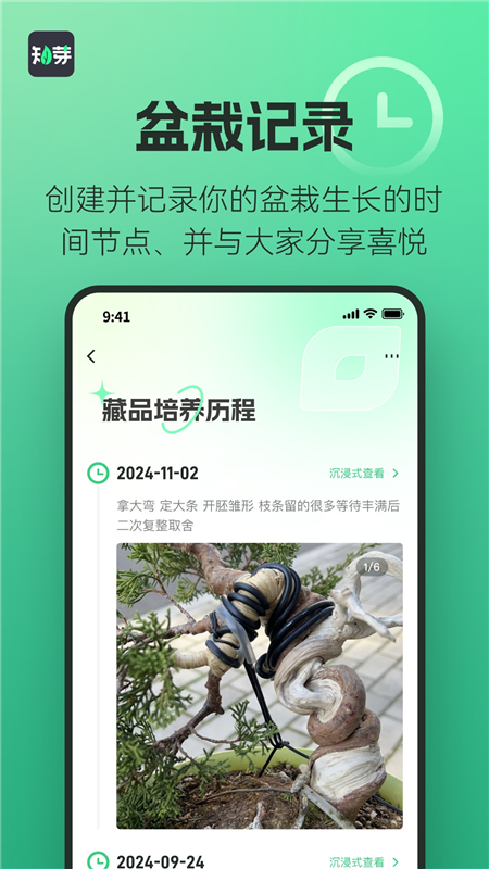 知芽盆栽