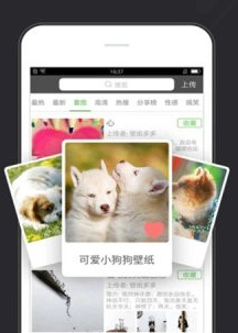 全自动壁纸软件