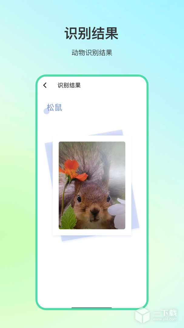 动物百科 v4.1.0最新版下载