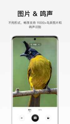 懂鸟app v1.0.15