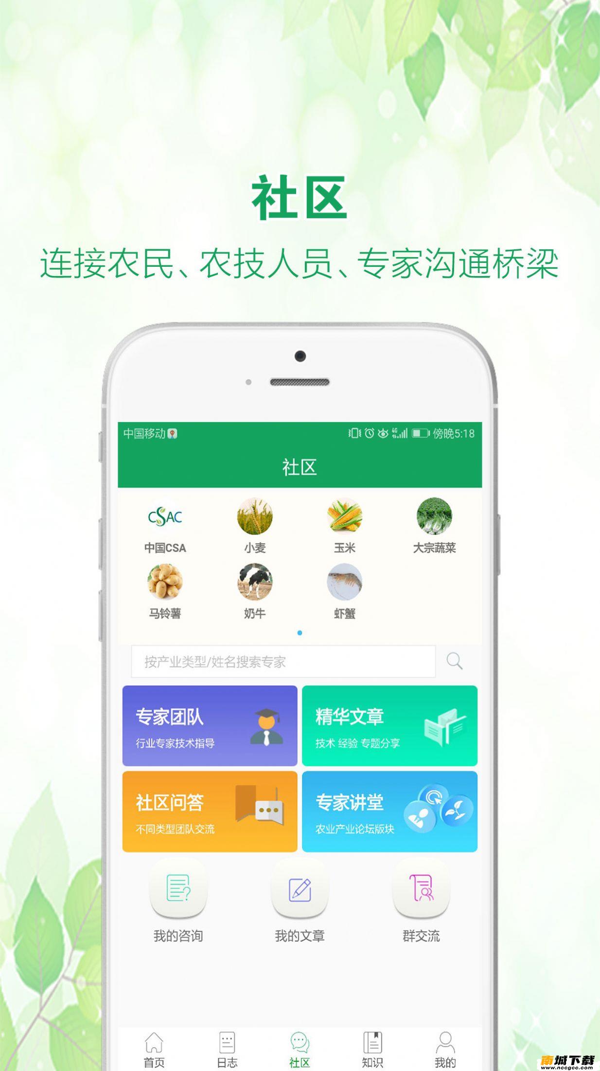 预览图3