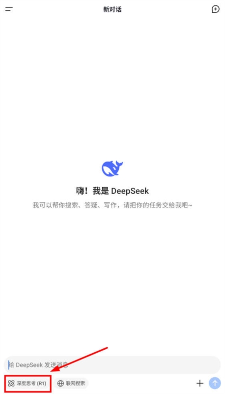 DeepSeek7